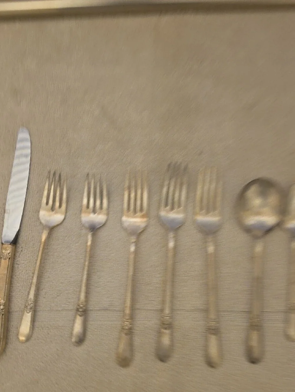 Vintage Rogers Bros Adoration Silver Flatware Cutlery Set - 17 Pieces